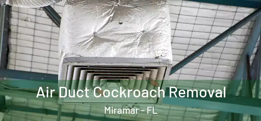 Air Duct Cockroach Removal Miramar - FL