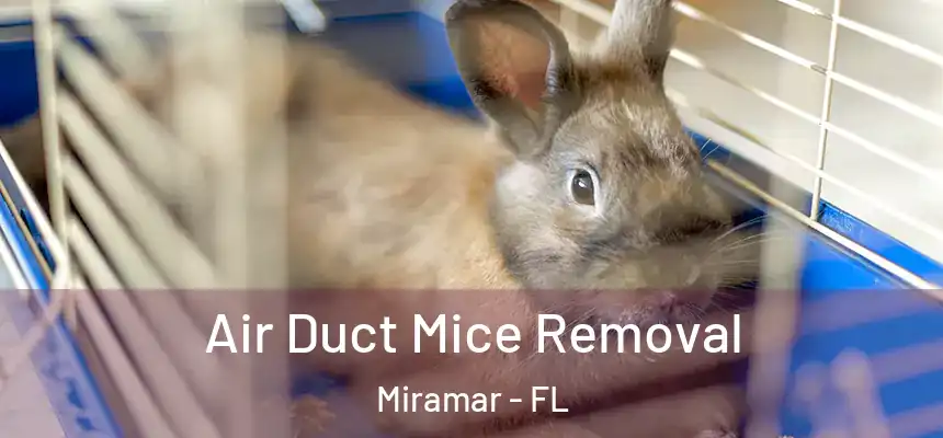 Air Duct Mice Removal Miramar - FL