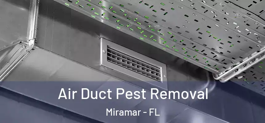 Air Duct Pest Removal Miramar - FL