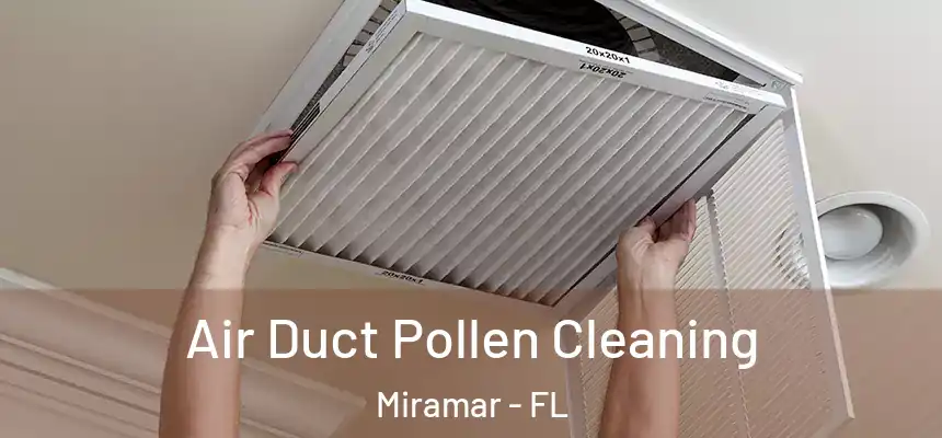 Air Duct Pollen Cleaning Miramar - FL