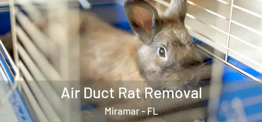 Air Duct Rat Removal Miramar - FL