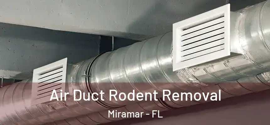 Air Duct Rodent Removal Miramar - FL