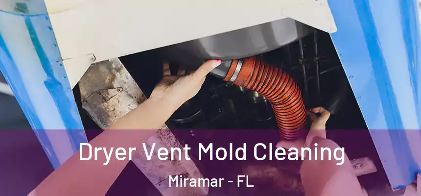 Dryer Vent Mold Cleaning Miramar - FL