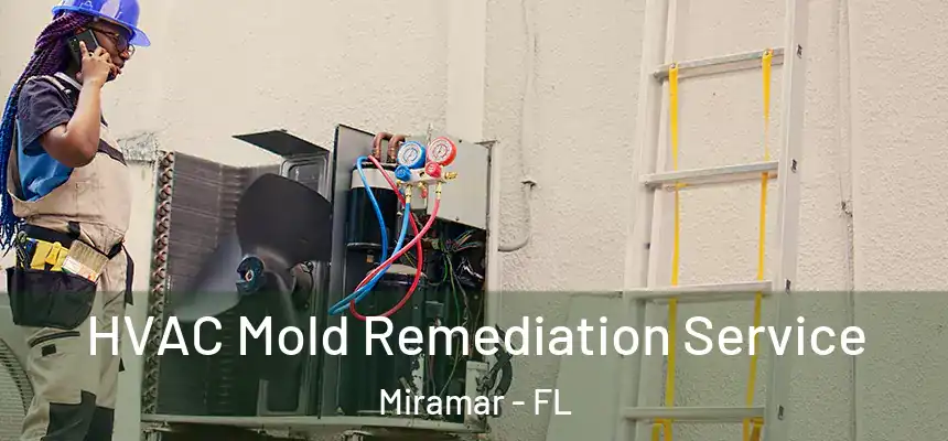 HVAC Mold Remediation Service Miramar - FL