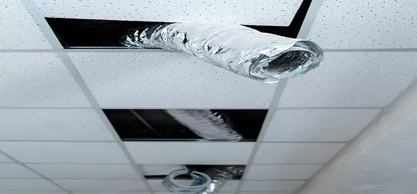 Our Air Duct Pet Hair Removal Services in Miramar, FL