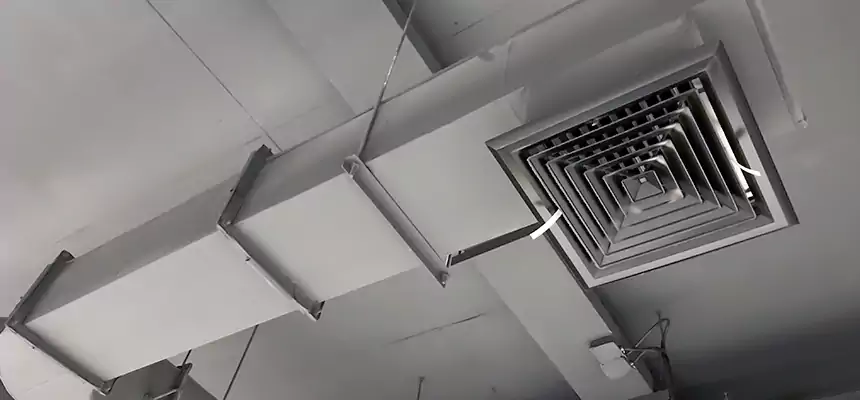 Our Pest Removal From Ducts Services in Miramar, FL