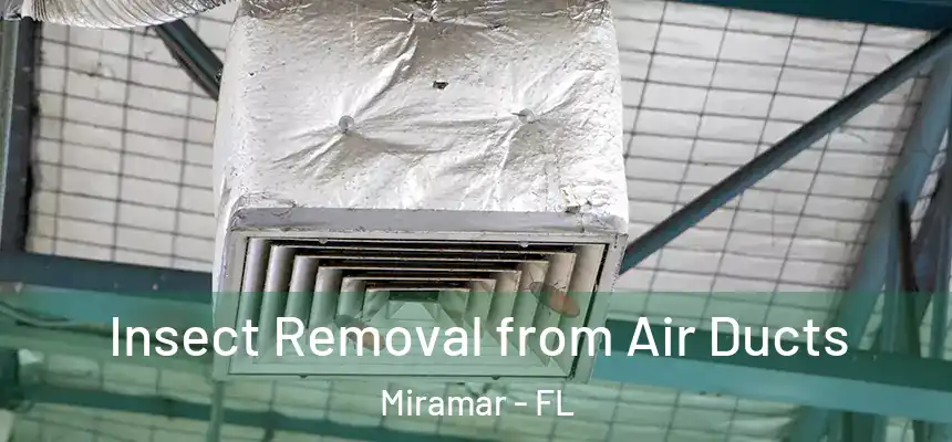 Insect Removal from Air Ducts Miramar - FL