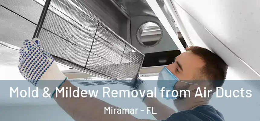 Mold & Mildew Removal from Air Ducts Miramar - FL