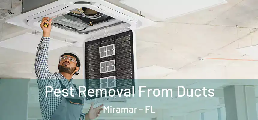 Pest Removal From Ducts Miramar - FL