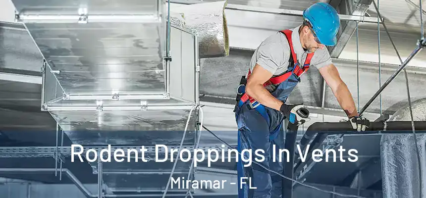 Rodent Droppings In Vents Miramar - FL