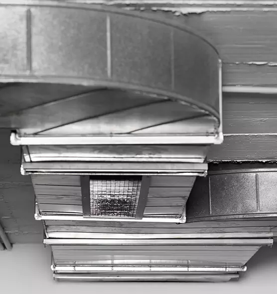 Professional Air Duct Pet Hair Removal in Miramar, FL