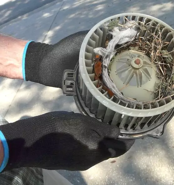 About Air Duct Rat Removal in Miramar, FL