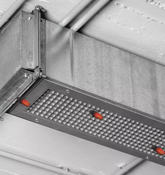 Affordable Insect Removal from Air Ducts in Miramar, FL