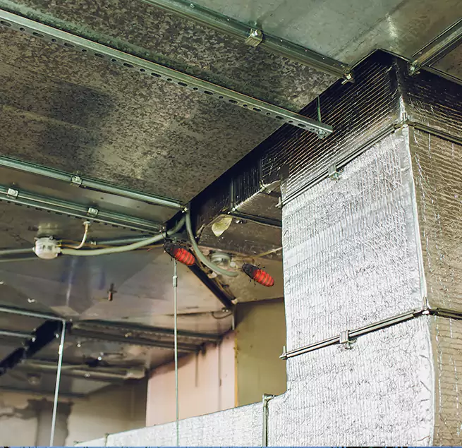 Why Homeowners & Businesses Trust Us in Miramar, FL?