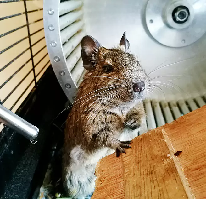 Why Homeowners & Businesses Trust Us Miramar, FL?