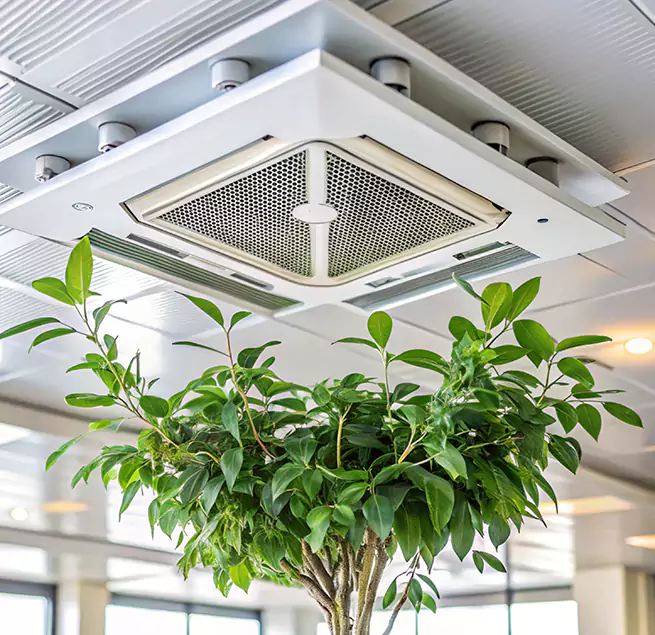 Why Homeowners & Businesses Trust Us in Miramar, FL