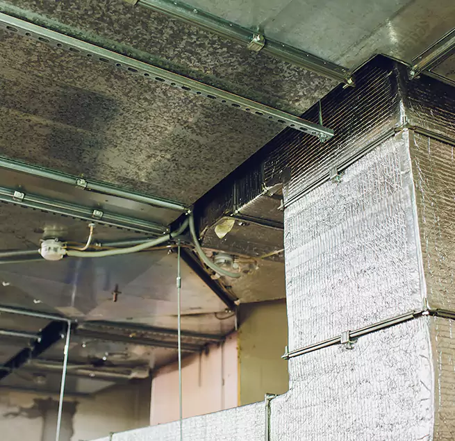 Why Homeowners & Businesses Trust Us in Miramar, FL?